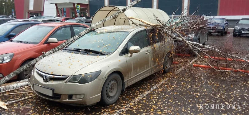 Тот самый автомобиль, на который упала берёза.